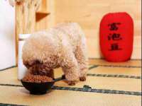 丹阳市阿平电子商务有限公司