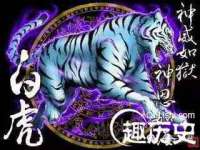 丹阳市阿平电子商务有限公司