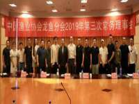 丹阳市阿平电子商务有限公司