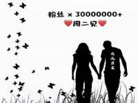 丹阳市阿平电子商务有限公司