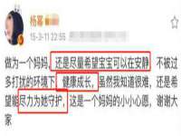 丹阳市阿平电子商务有限公司