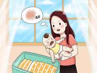 丹阳市阿平电子商务有限公司