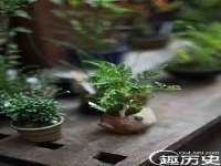 丹阳市阿平电子商务有限公司