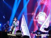 丹阳市阿平电子商务有限公司