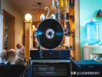 丹阳市阿平电子商务有限公司
