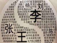 丹阳市阿平电子商务有限公司