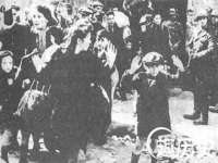 丹阳市阿平电子商务有限公司