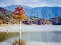 丹阳市阿平电子商务有限公司