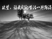丹阳市阿平电子商务有限公司