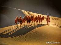丹阳市阿平电子商务有限公司