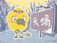 丹阳市阿平电子商务有限公司
