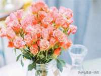 丹阳市阿平电子商务有限公司