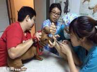 丹阳市阿平电子商务有限公司