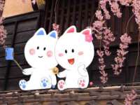 丹阳市阿平电子商务有限公司