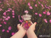 丹阳市阿平电子商务有限公司
