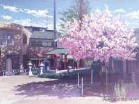 丹阳市阿平电子商务有限公司