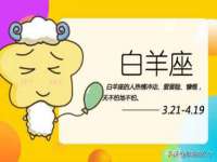 丹阳市阿平电子商务有限公司