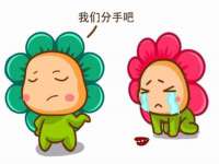丹阳市阿平电子商务有限公司