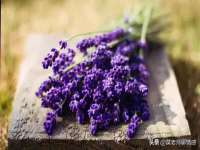 丹阳市阿平电子商务有限公司