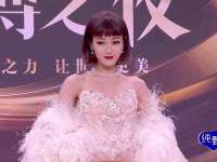 丹阳市阿平电子商务有限公司