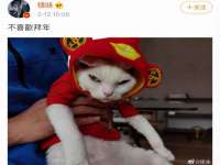 丹阳市阿平电子商务有限公司