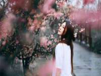 丹阳市阿平电子商务有限公司