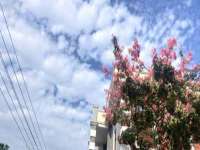 丹阳市阿平电子商务有限公司