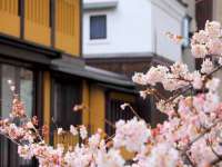 丹阳市阿平电子商务有限公司
