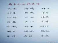 丹阳市阿平电子商务有限公司