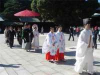 丹阳市阿平电子商务有限公司